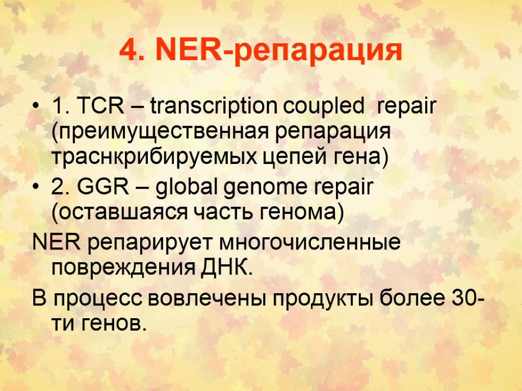 4. NER-репарация 1. TCR – transcription coupled repair (преимущественная репарация траснкрибируемых цепей гена) 2.